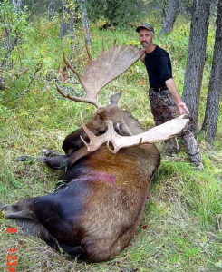 moose-rack