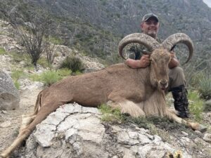 Old Mexico All-Inclusive Aoudad Hunt Raffle For 2 hunters