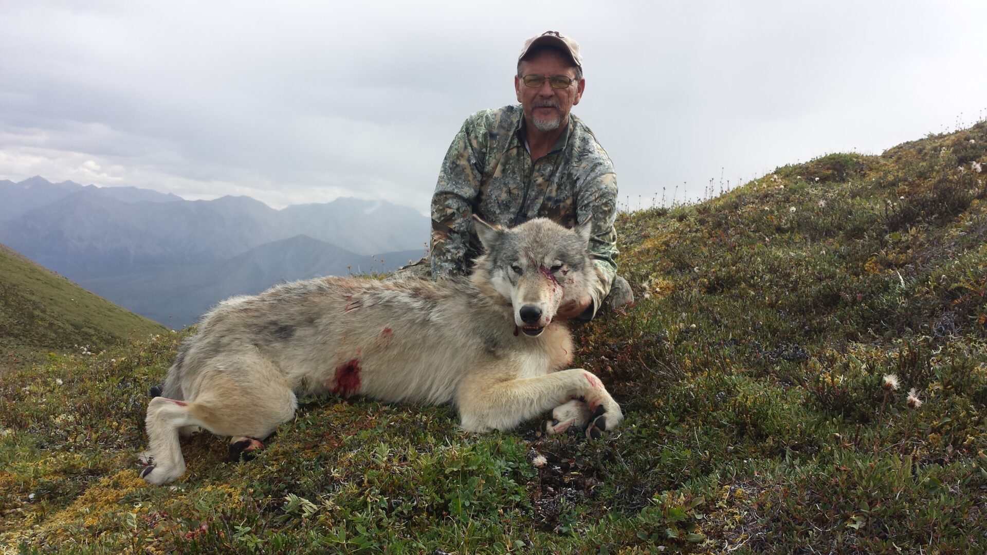 Mountain Caribou Hunt Raffle