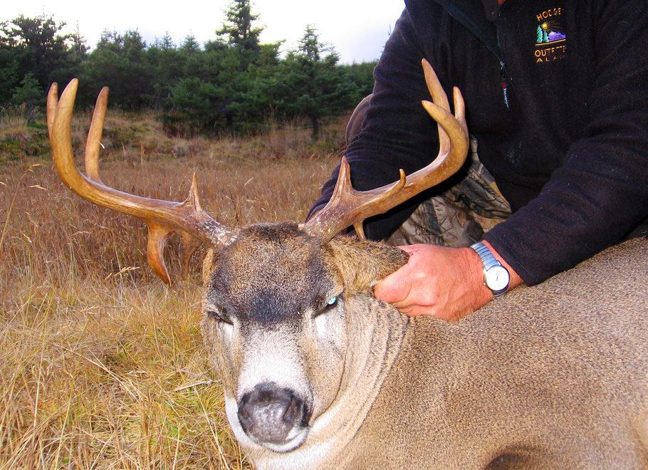 Sonora Mexico Trophy Mule Deer Hunt Raffle