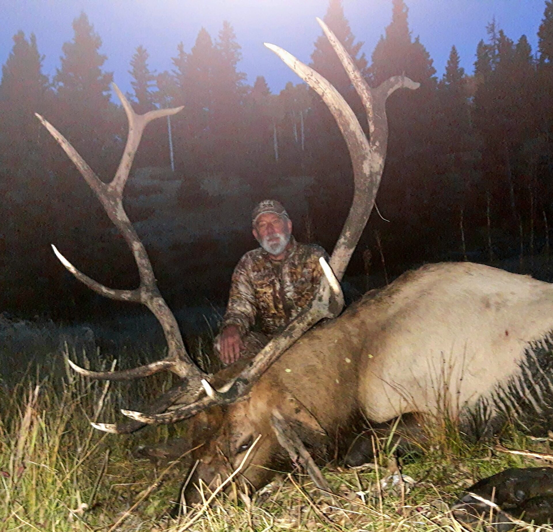 Dall Sheep Hunt Raffle