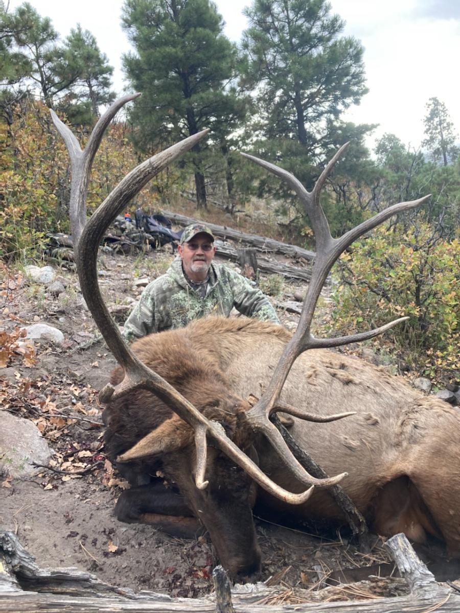 Dall Sheep Hunt Raffle