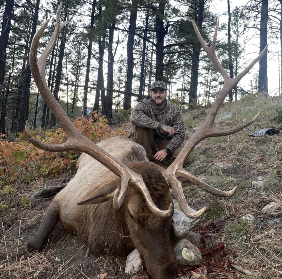 Dall Sheep Raffle