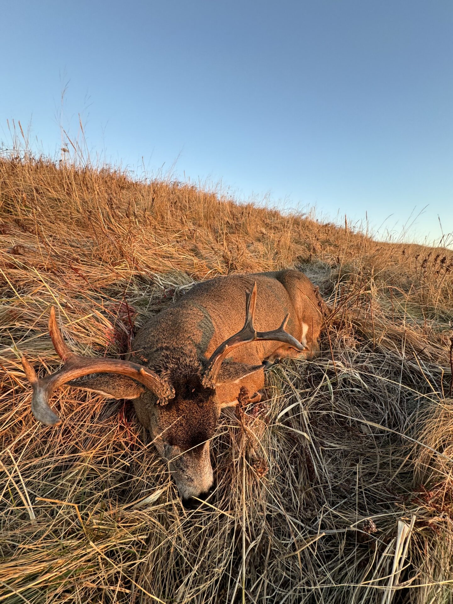 Swarovski’s ATX 25-60x65mm Spotting Scope