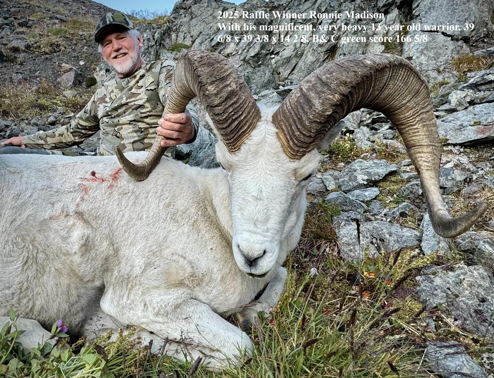 2025 Winner Ronnie Madasion Dall Sheep Raffle