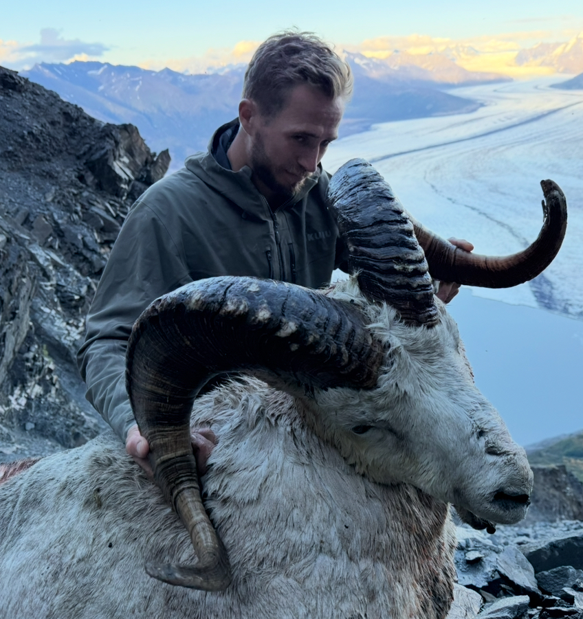 IMG_0162 - Copy Dall Sheep Hunt Raffle